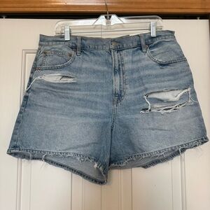 American Eagle Curvy 90s Boyfriend Short NWT